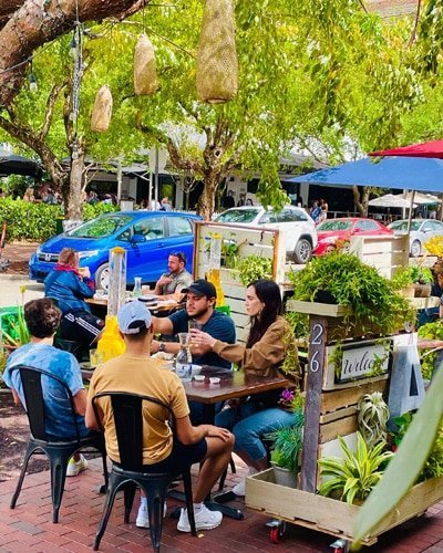outdoor cafe green tree canopy tropical foliage young customers drinking beer