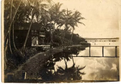 vintage sepia photo palm trees bay shore wooden boat house dock