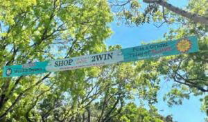 street crossing banner pictured high above a street in Coconut Grove