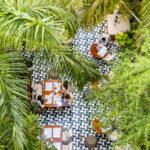 aerial view of a restaurant patio surrounded by palm trees.