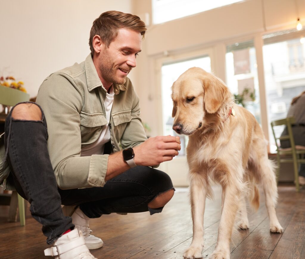 Portrait of smiling handsome man with his dog, sitting on floor in cafe with golden retriever, giving a treat.