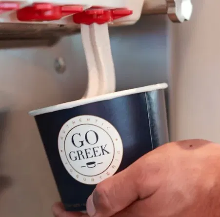 Hand holding cup of frozen yogurt from Go Greek