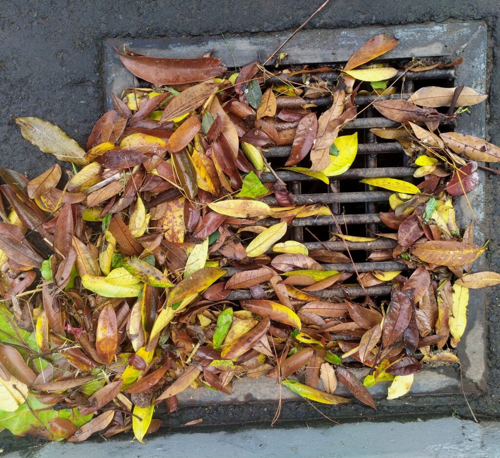 Storm drain blocked with leaves covering the grate causing flooding.