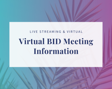 A photo of palm leaves wtih pink and blue overlay and a text box with the Virtual BID meeting information.