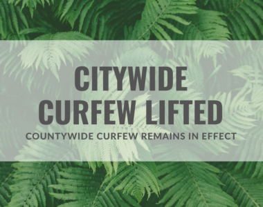 citywide curfew lifted text over a photo of ferns.